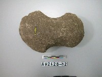 藏品(有腰打製石斧)的圖片